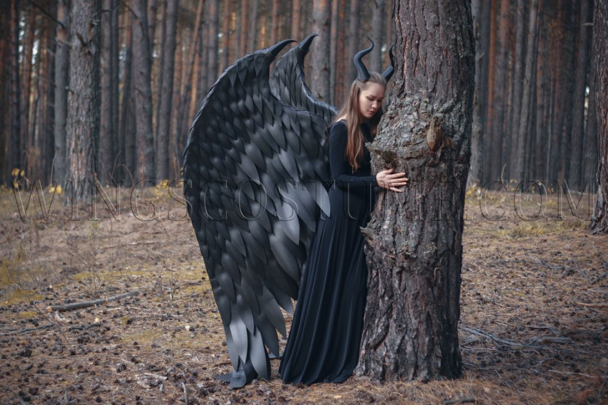 Maleficent s wings